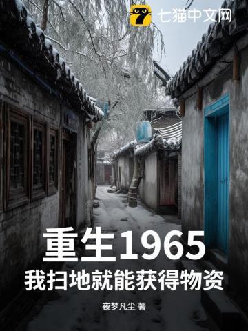 重生1965，我扫地就能获得物资